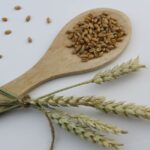 Illustration culinaire pour l’article : Petit épeautre : pourquoi cette céréale ancienne revient dans les cuisines du quotidien